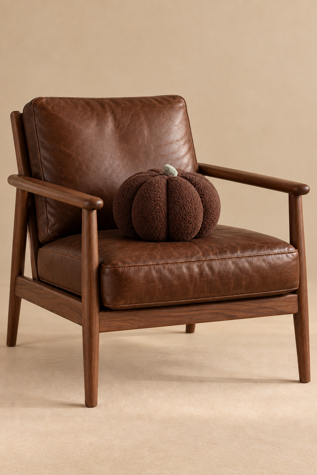 Pumpkin marron foncé sur fauteuil brun — vue principale